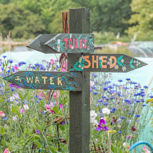 Charlton Road Allotments